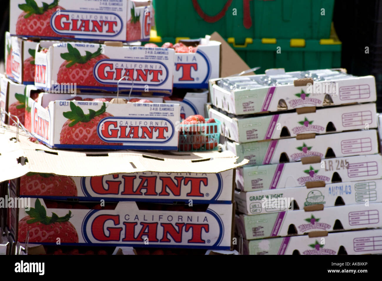 Fruit boxes on Market stall in Boston Stock Photo Alamy
