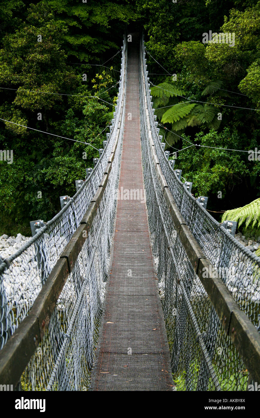 Swingbridge In The Kaitoke Regional Park New Zealand Stock