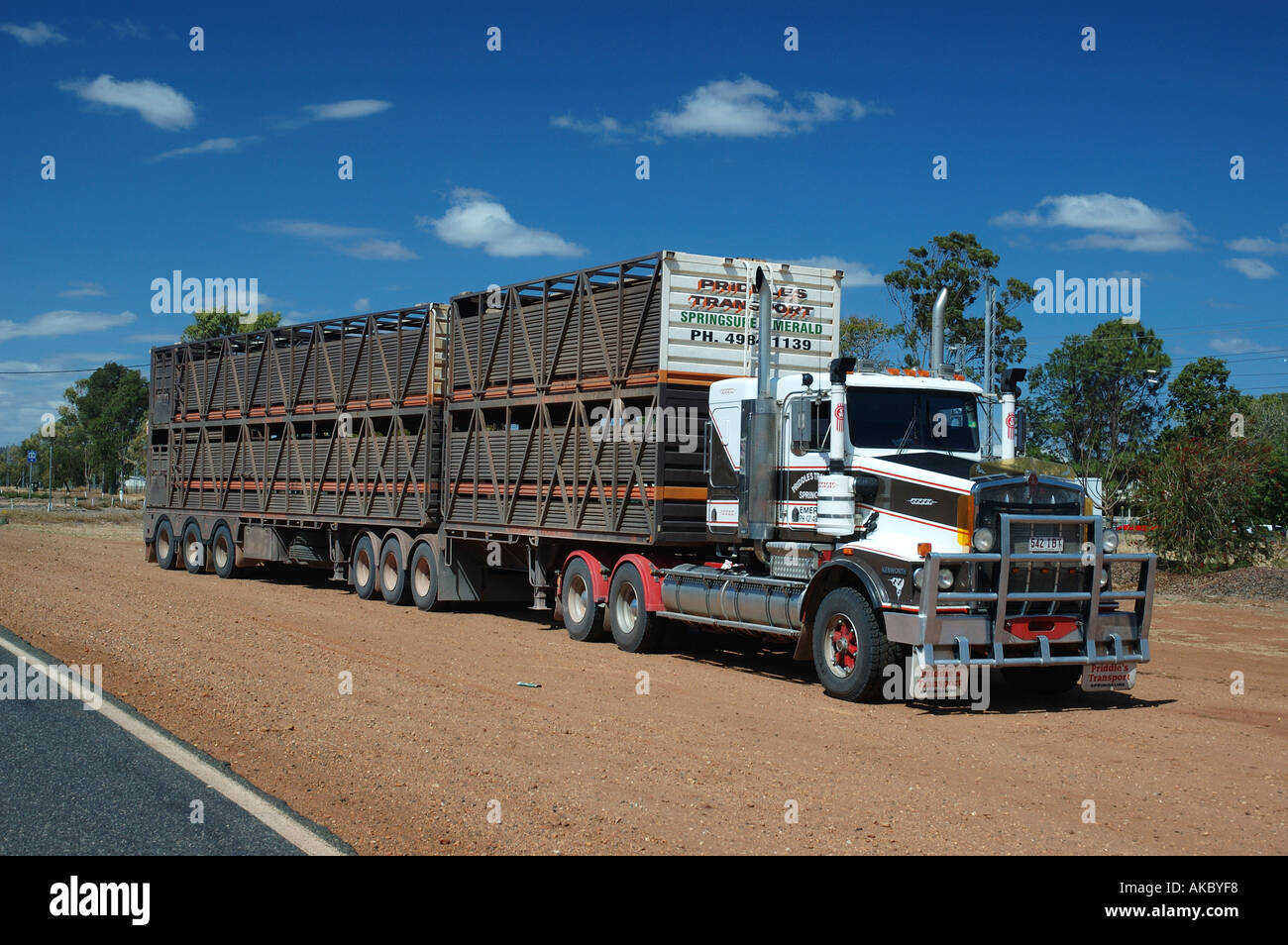 Double road train cattle truck remote Queensland dsc 3716 Stock Photo