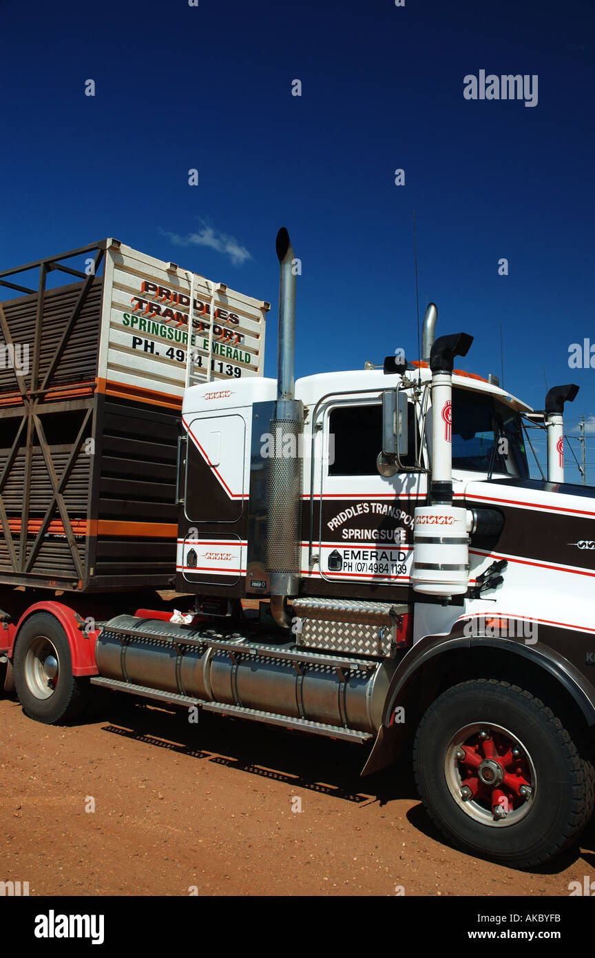 Double road train cattle truck remote Queensland dsc 3717 Stock Photo