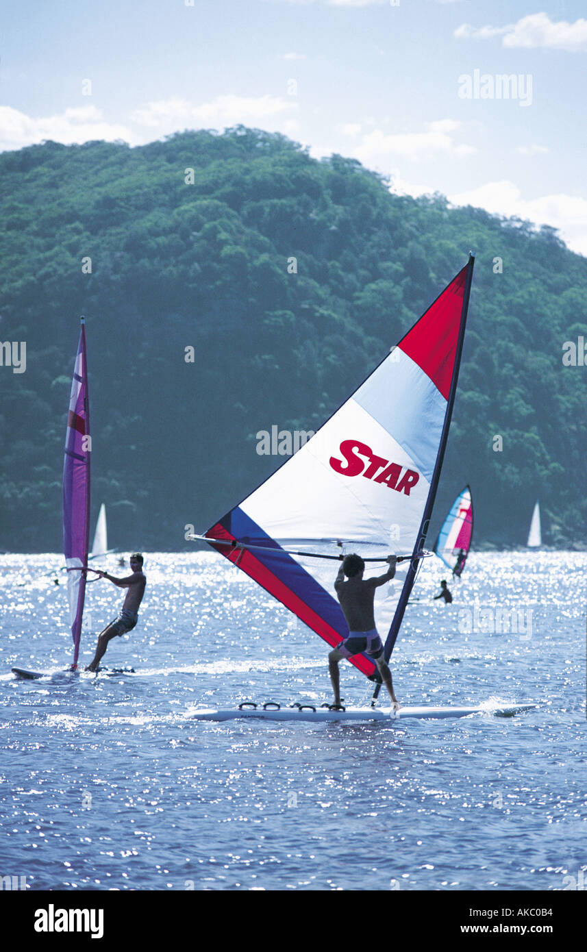 Windsurfing in Sydney Stock Photo Alamy