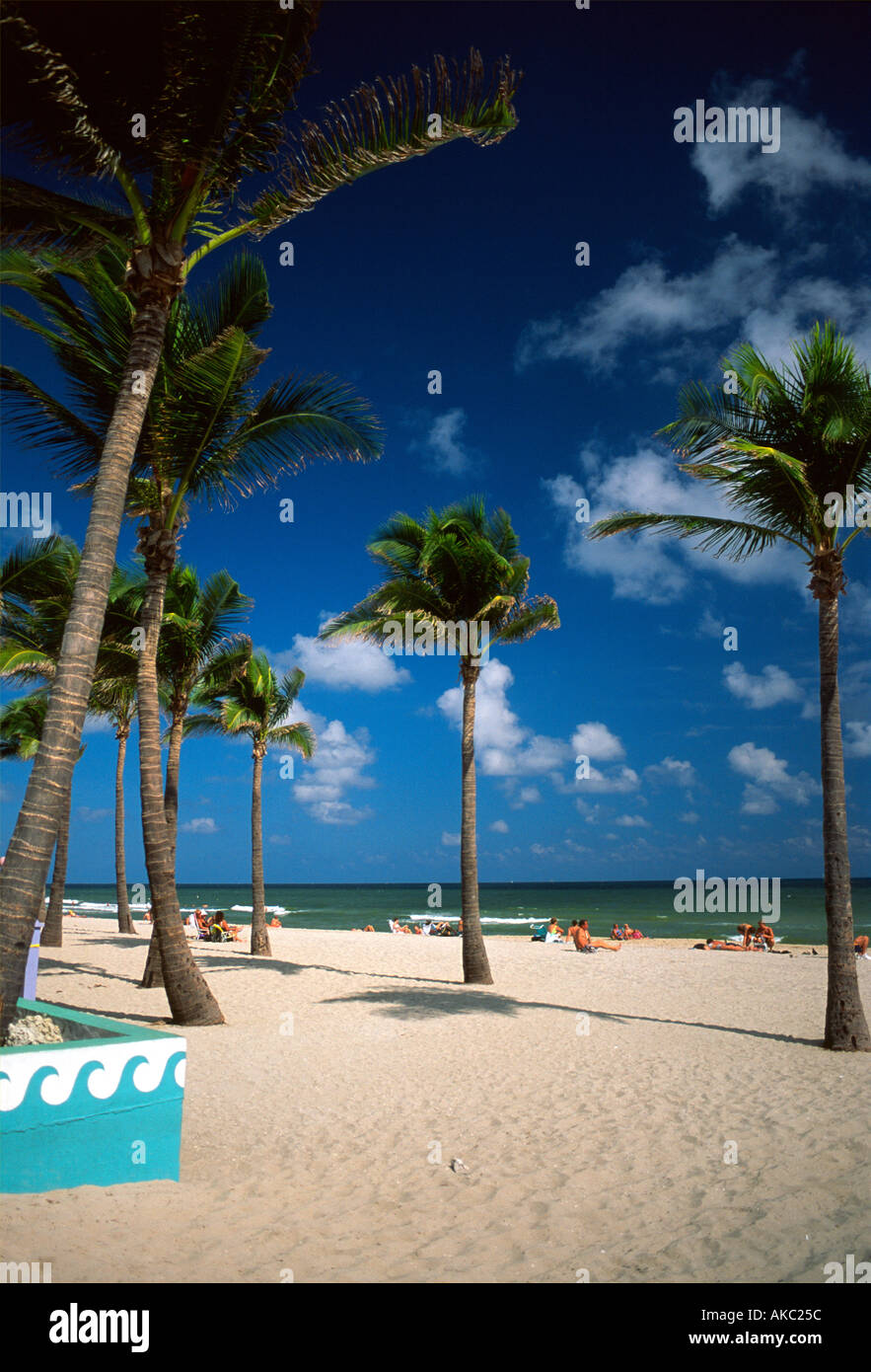 Beachside Fort Lauderdale Florida United States Of America - 