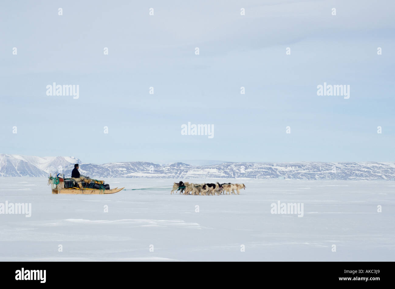 Qaanaaq Greenland April 2006 Qulitat with his dogs Stock Photo