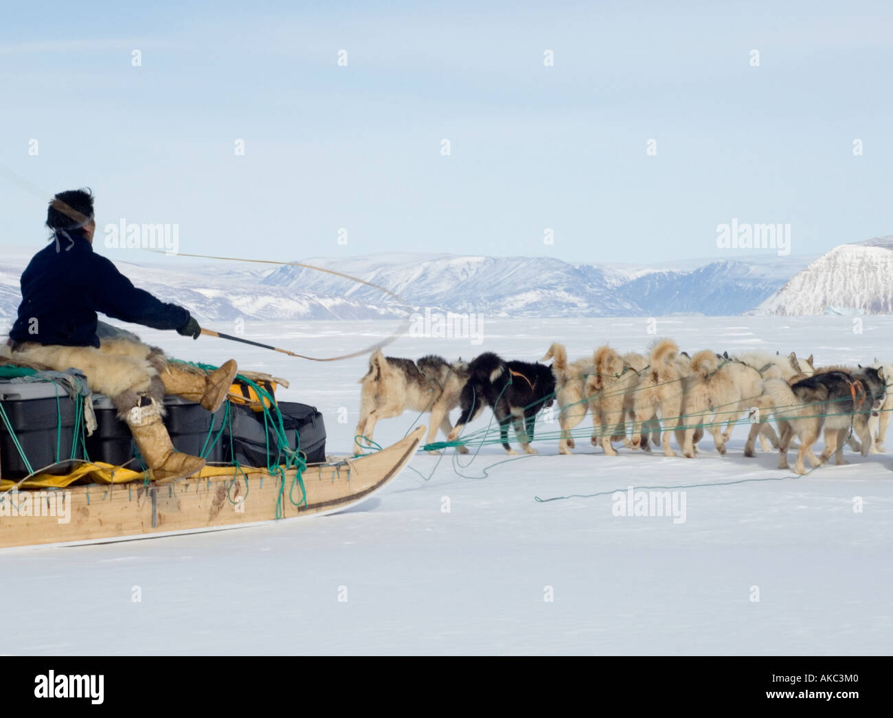 Qaanaaq Greenland April 2006 Qulitat with his dog team, one of the fastest in the village Stock Photo