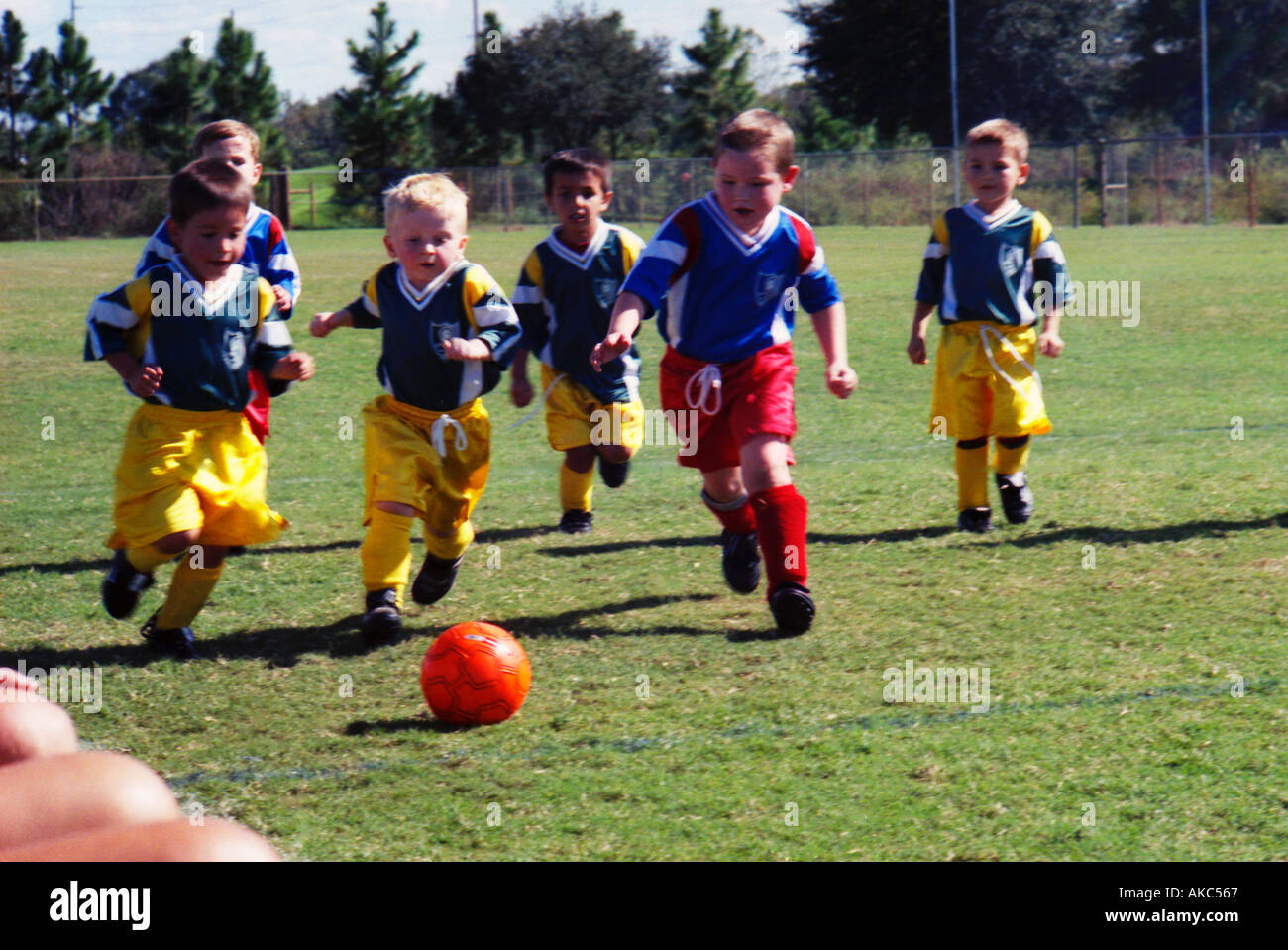 Five year old youth soccer players scramble for the ball at a Saturday competition in Florida Stock Photo