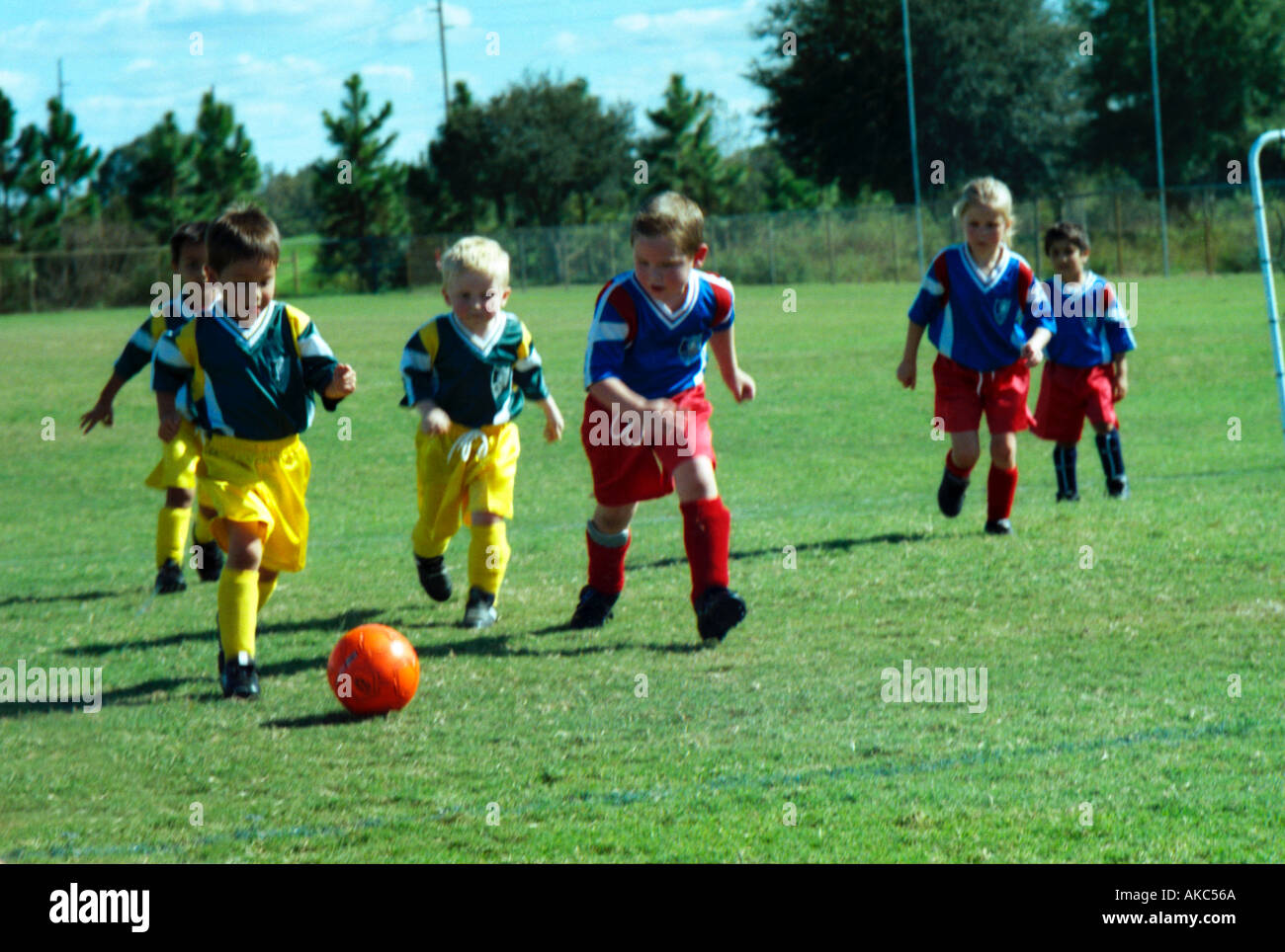 Five year old youth soccer players scramble for the ball at a Saturday competition in Florida Stock Photo