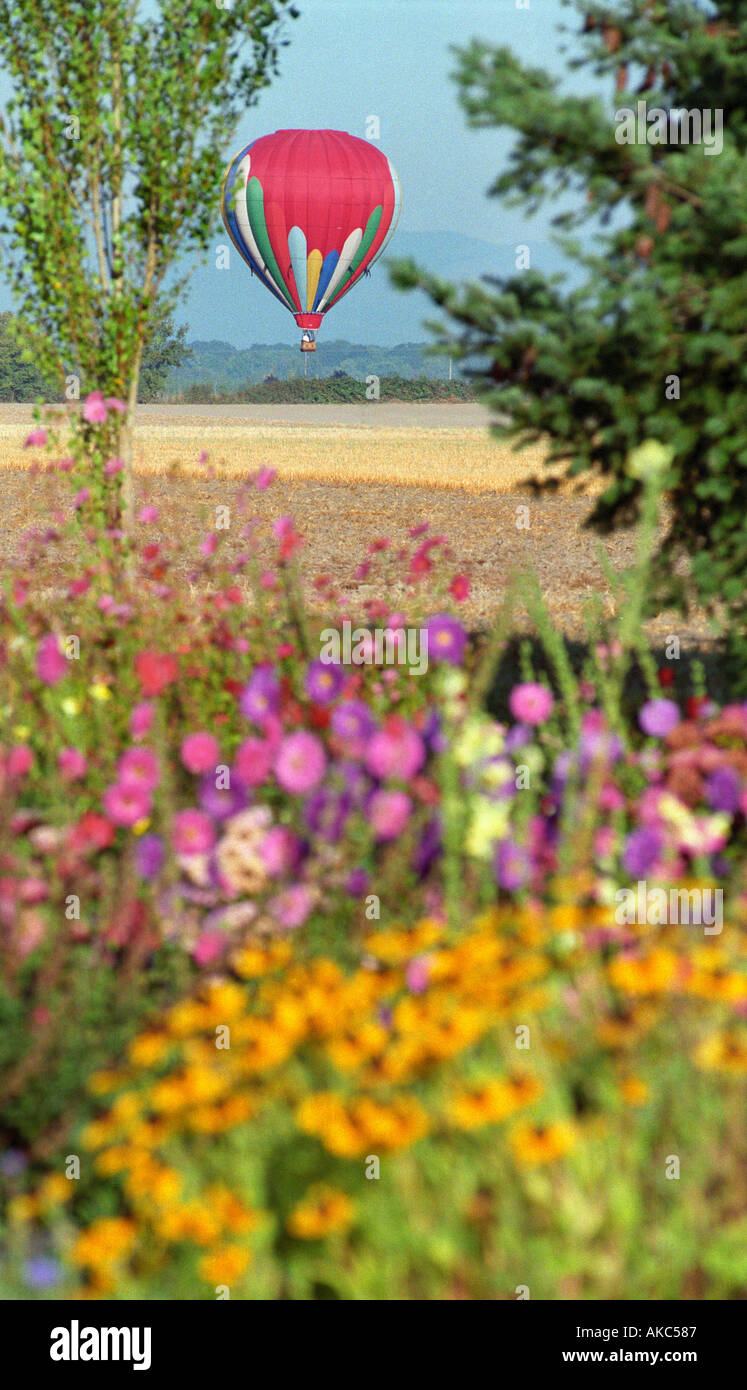 hot air balloon over colorful field of flowers Stock Photo