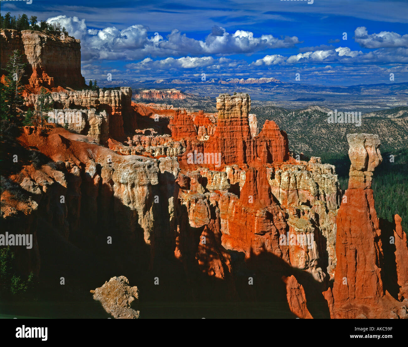 Bryce Canyon National Park in Utah showing a view of Agua Canyon with its colorful wind and water sculpted figures Stock Photo