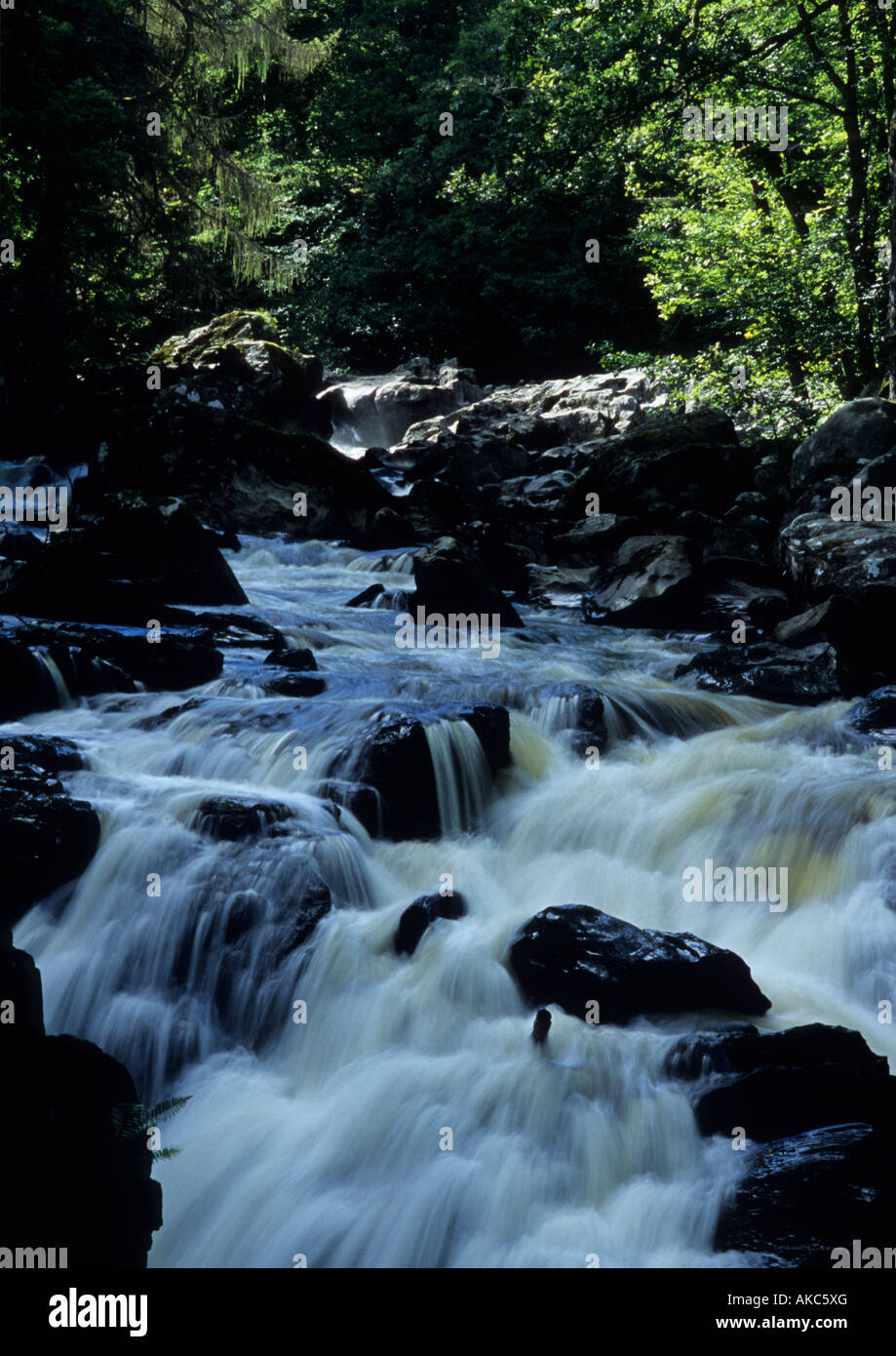 The River Braan At The Hermitage Near Dunkeld In Perthshire,Scotland,Uk Stock Photo