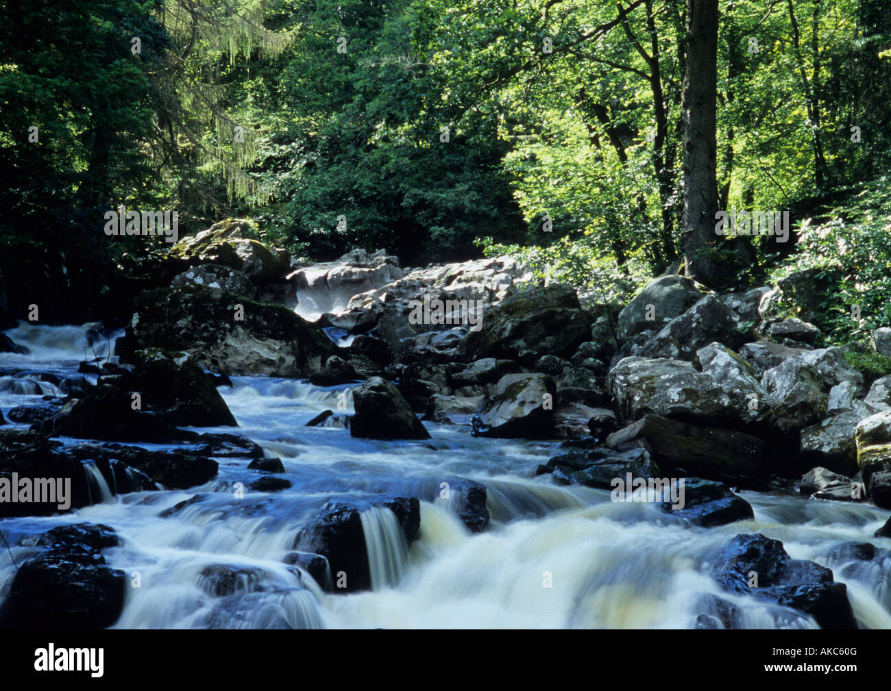 The River Braan At The Hermitage Near Dunkeld In Perthshire,Scotland,Uk Stock Photo