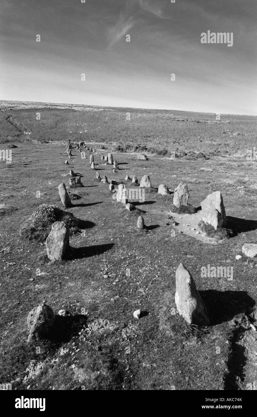Stone Row near South Zeal on Dartmoor, Devon, in black and white Stock Photo