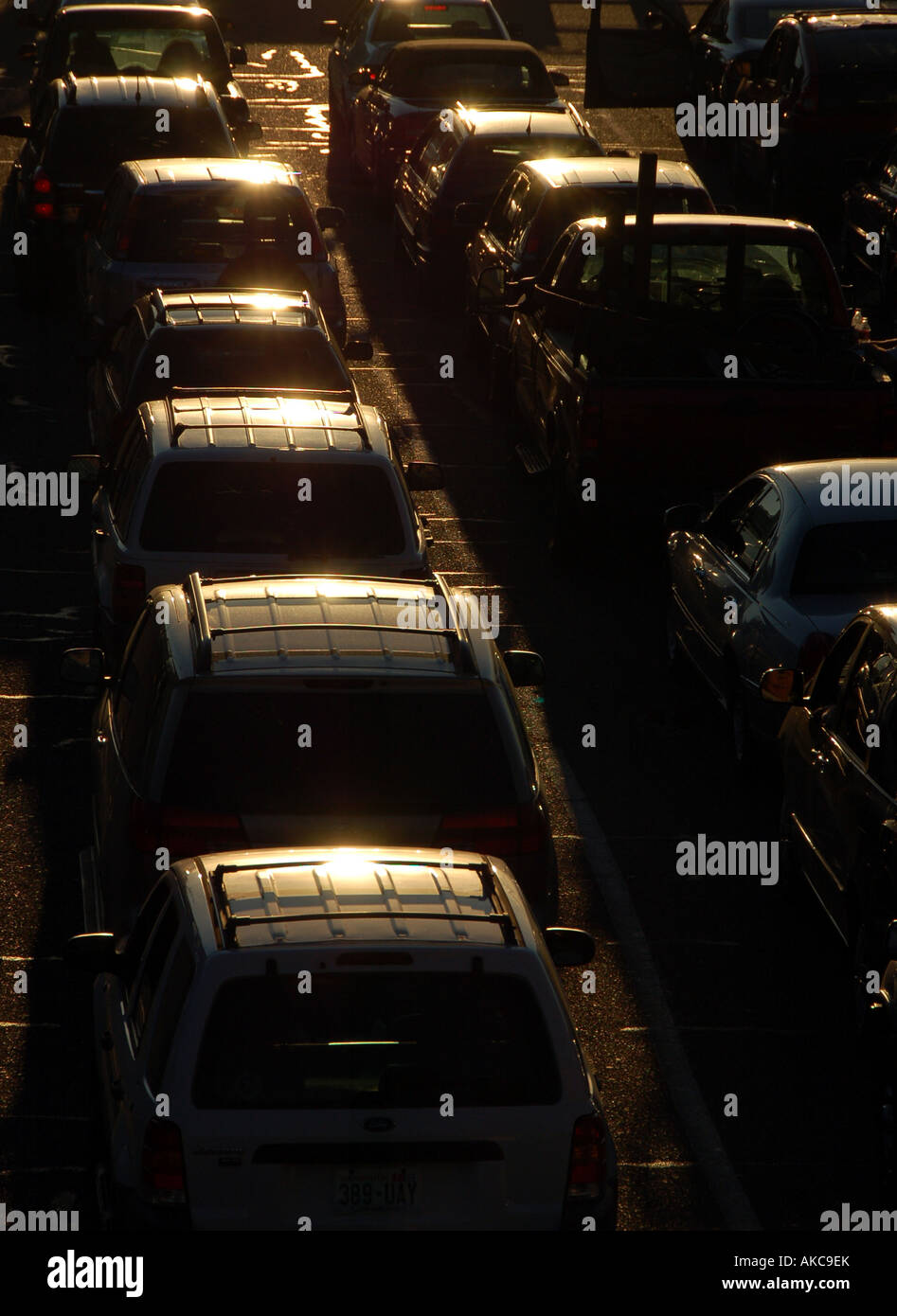 Cars queuing for the Bainbridge Island ferry, Seattle, USA Stock Photo