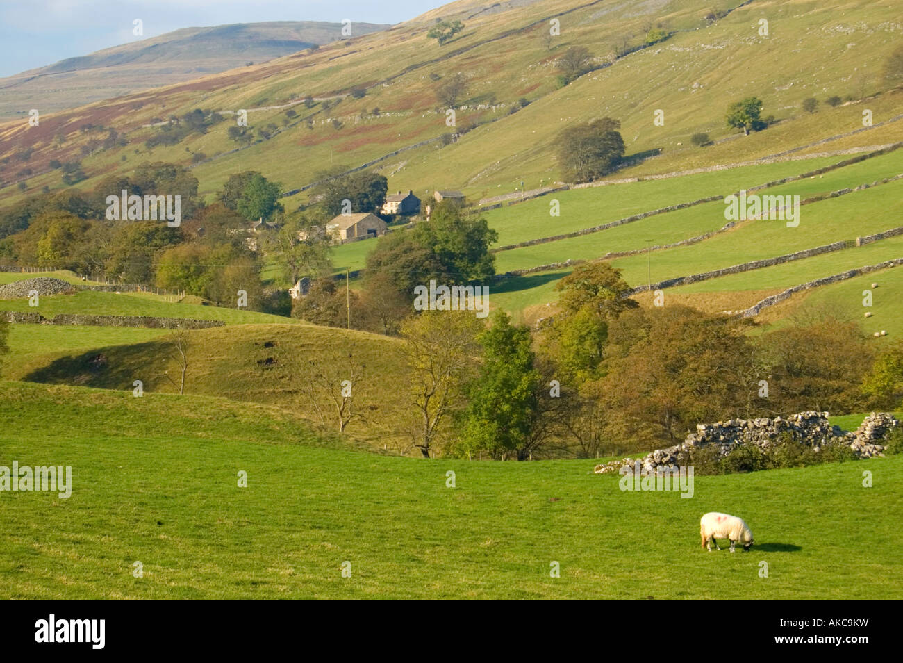 The village of Yokenthwaite, Langstrothdale in the Yorkshire Dales. Stock Photo