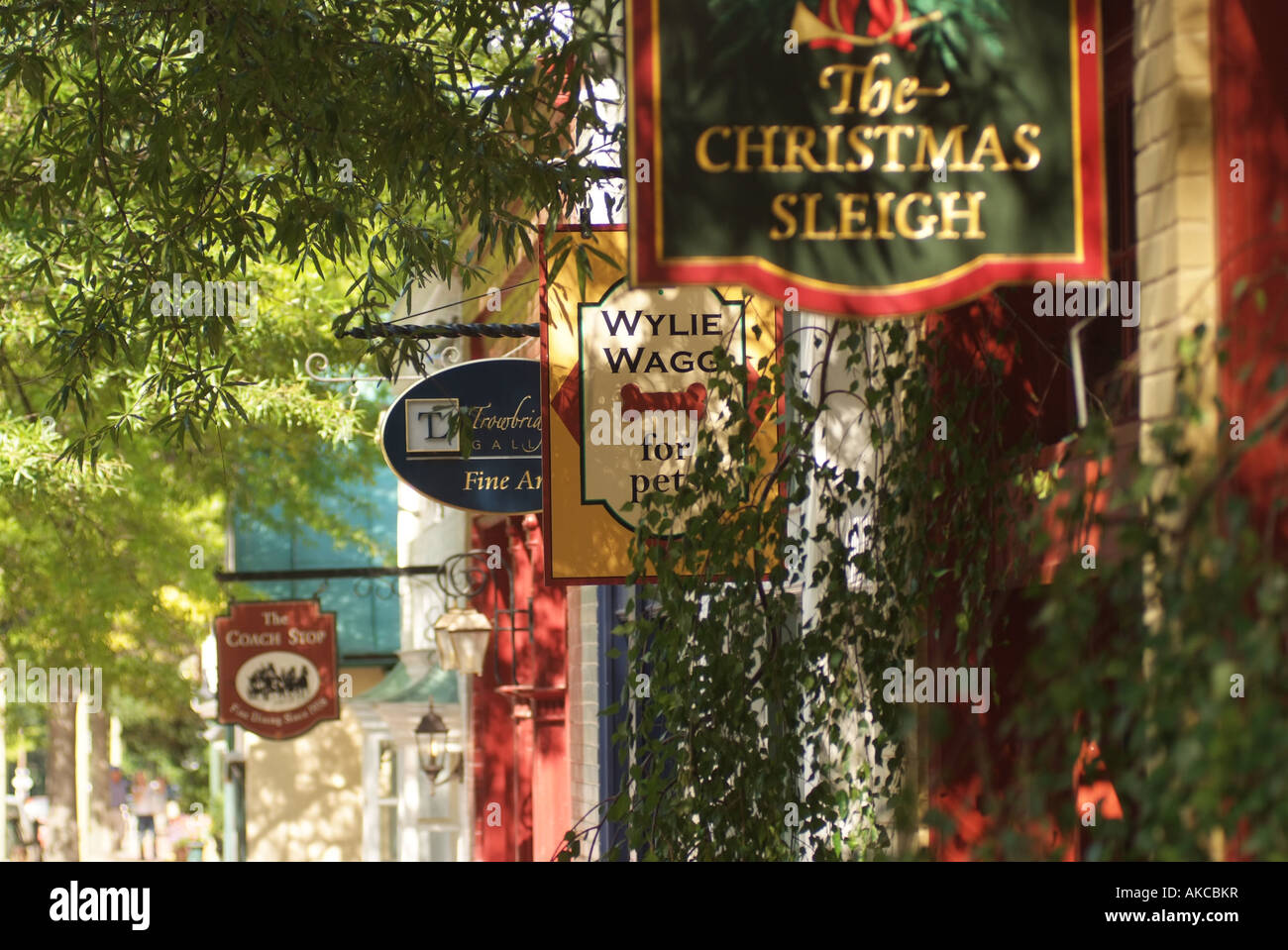 Signs of stores along East Washington Street Stock Photo Alamy