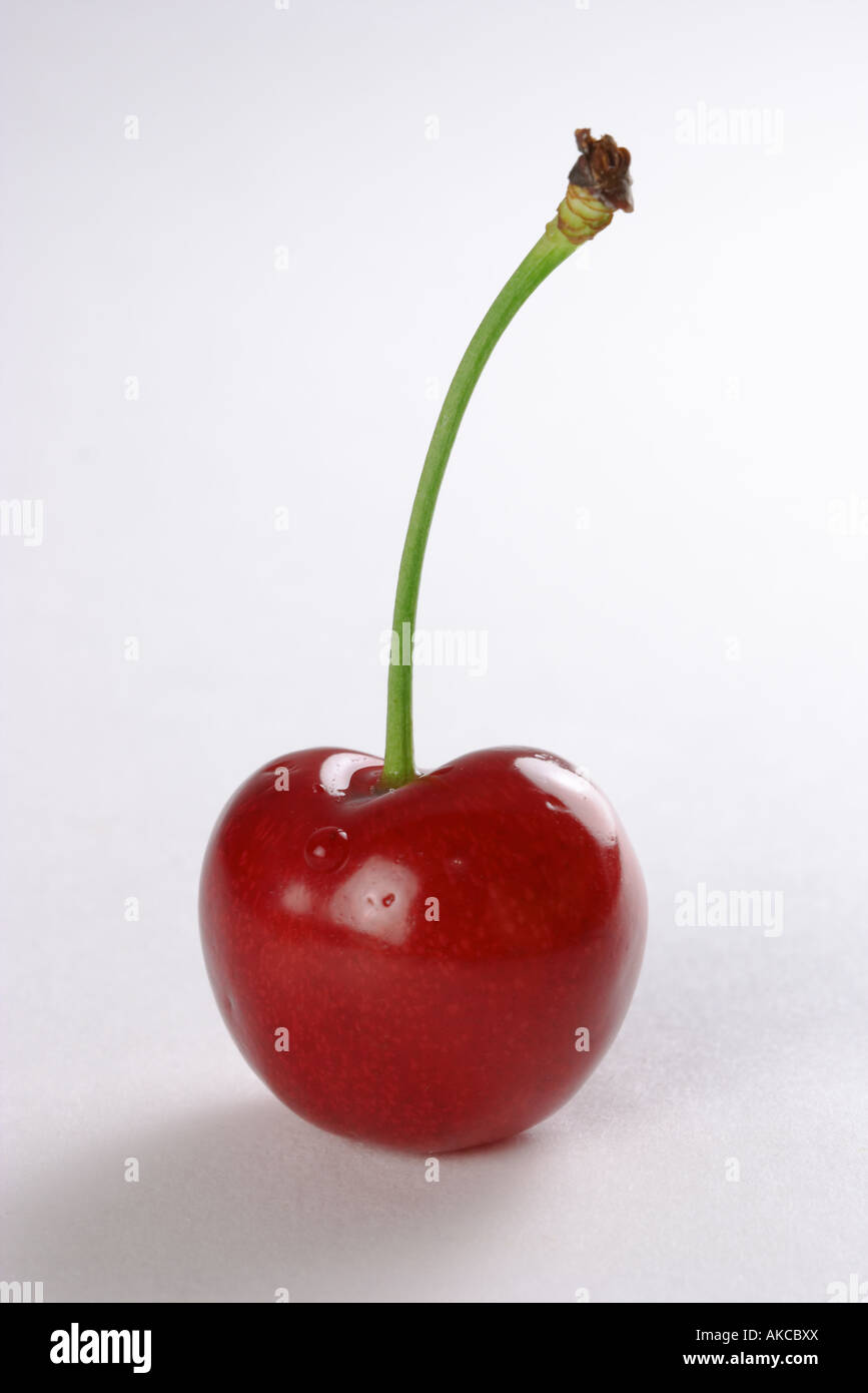 isolated cherries on white background Stock Photo - Alamy