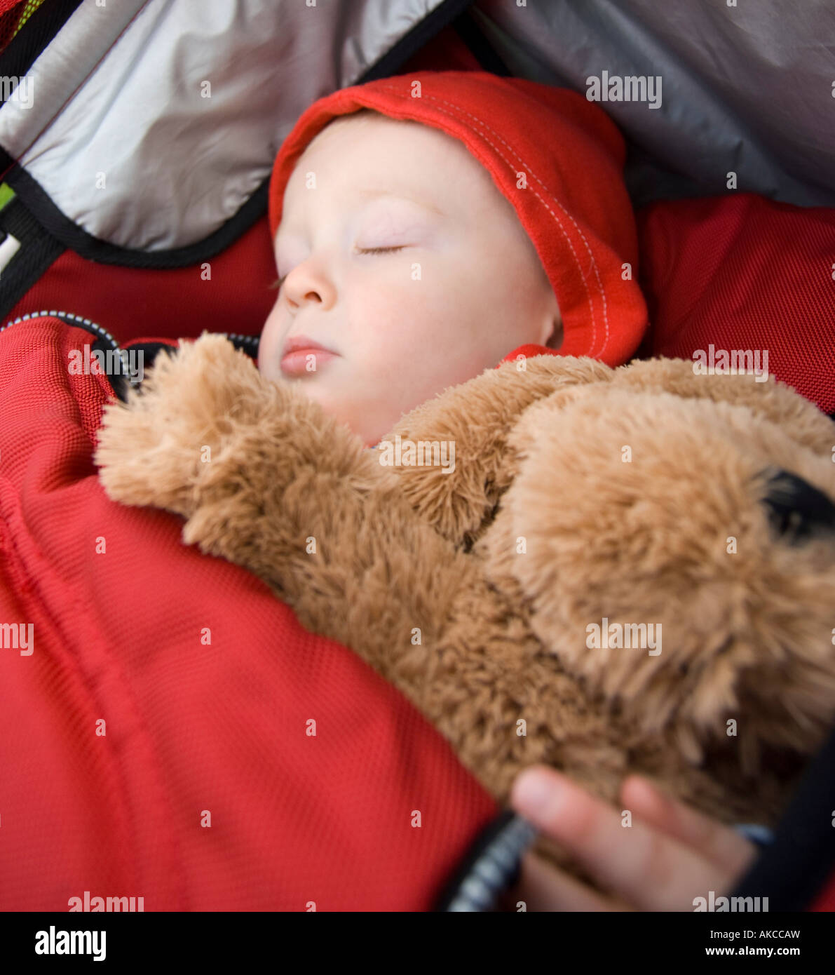 Baby Boy Asleep with Teddy Stock Photo