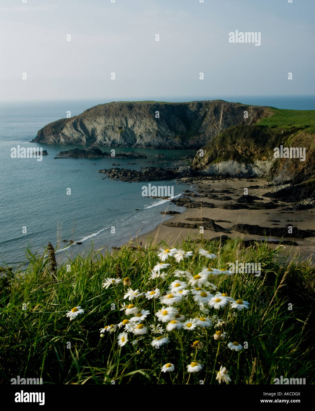 Sea and beach view from the Pembrokeshire coastal path near St Davids ...