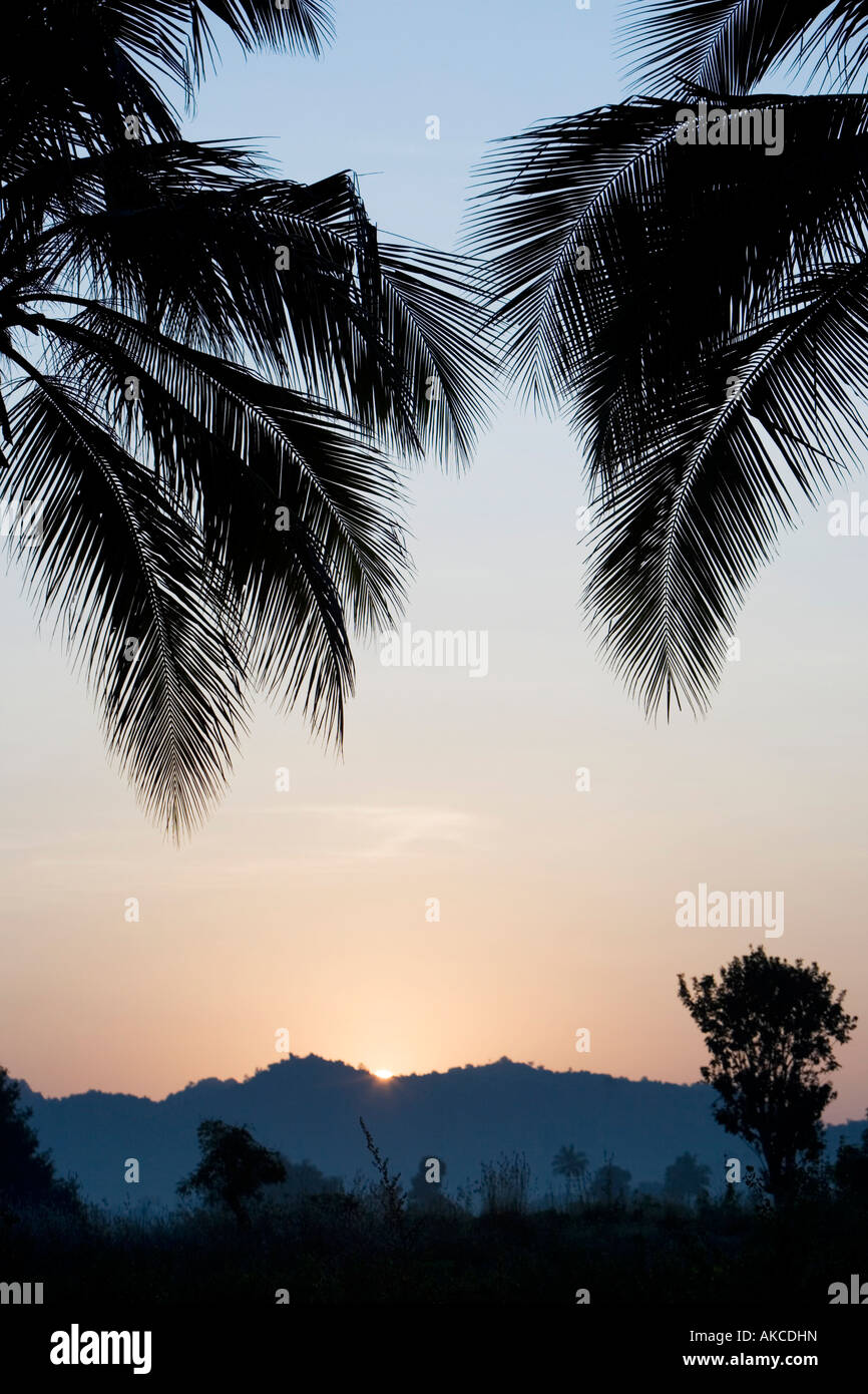 Sunrise through palm leaves hi-res stock photography and images - Alamy