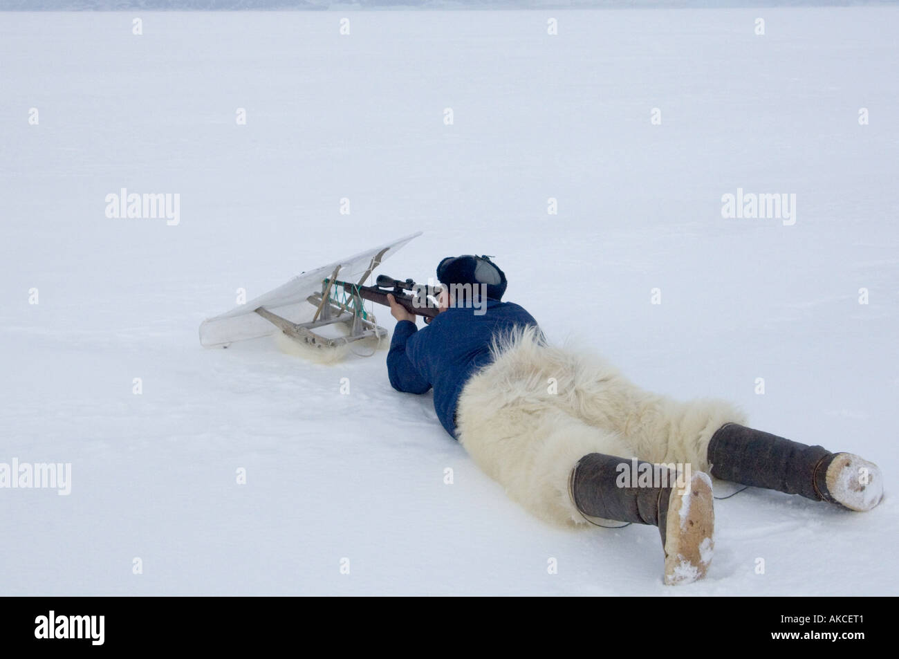 Traditional subsistence Inuit hunting Hunting for ringed seal Qaanaaq Greenland April 2006 Stock Photo