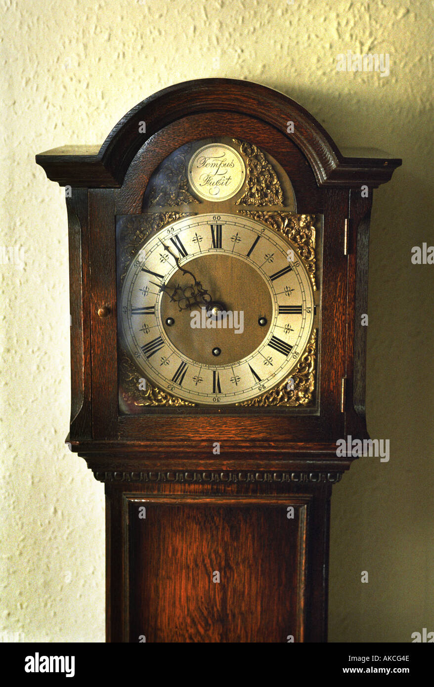Antique grandfather clock hi-res stock photography and images - Alamy