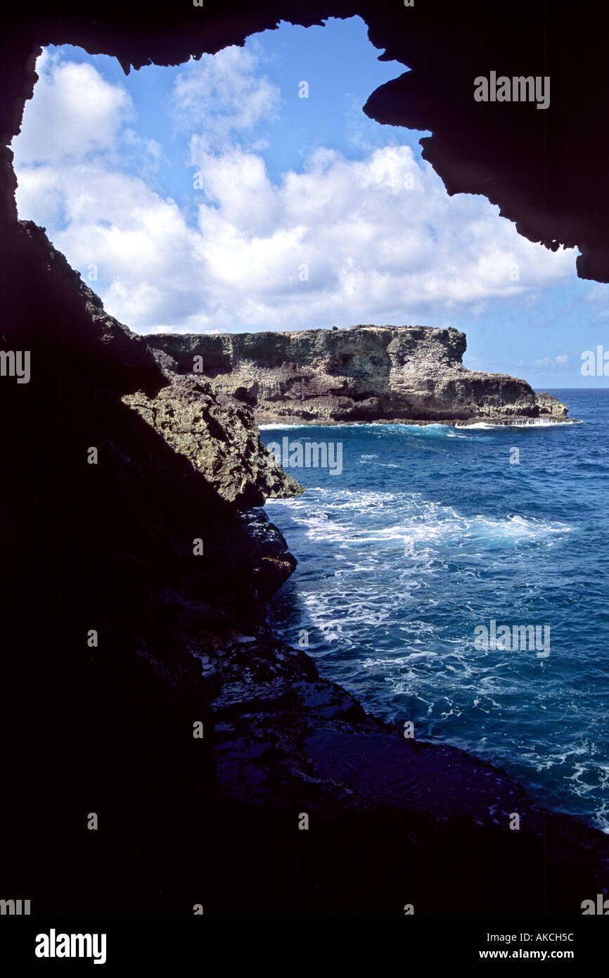 Animal flower cave and the Caribbean sea in Barbados. Stock Photo
