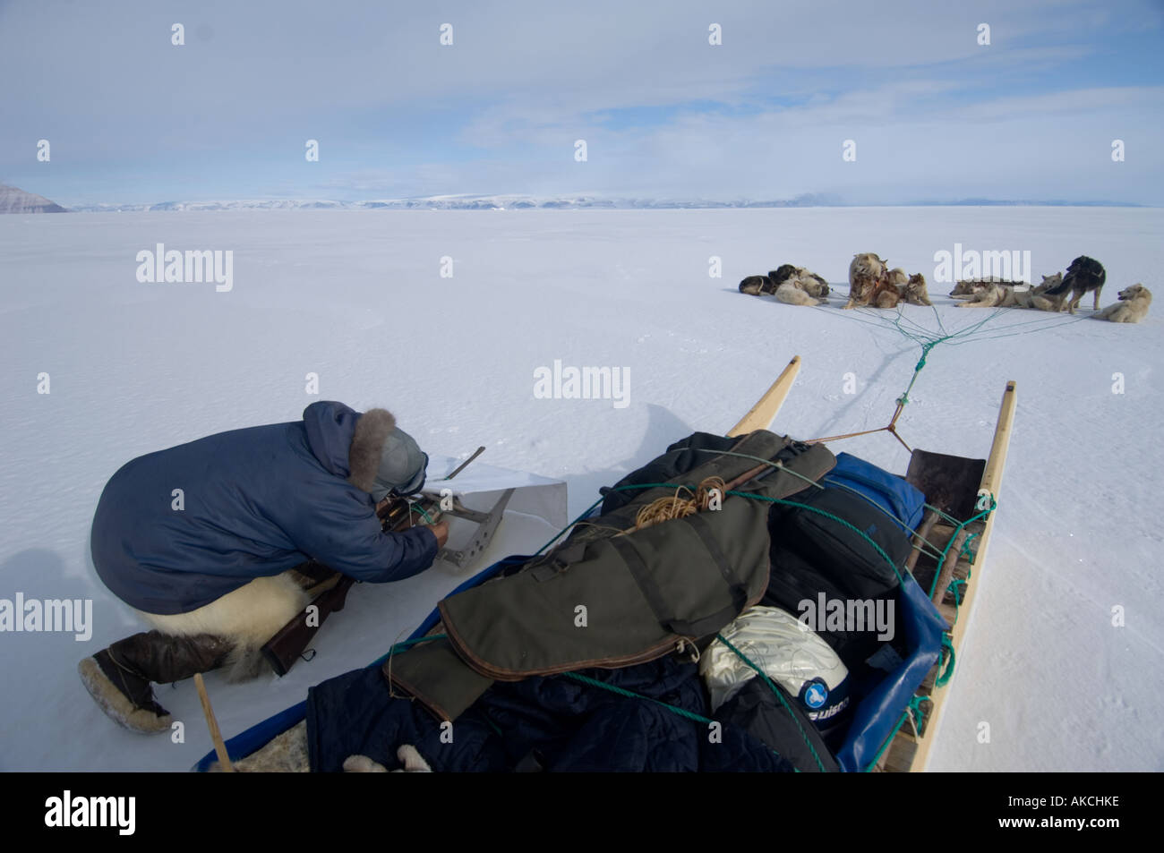 Traditional subistence Inuit hunting Hunting for ringed seal Qaanaaq Greenland April 2006 Stock Photo