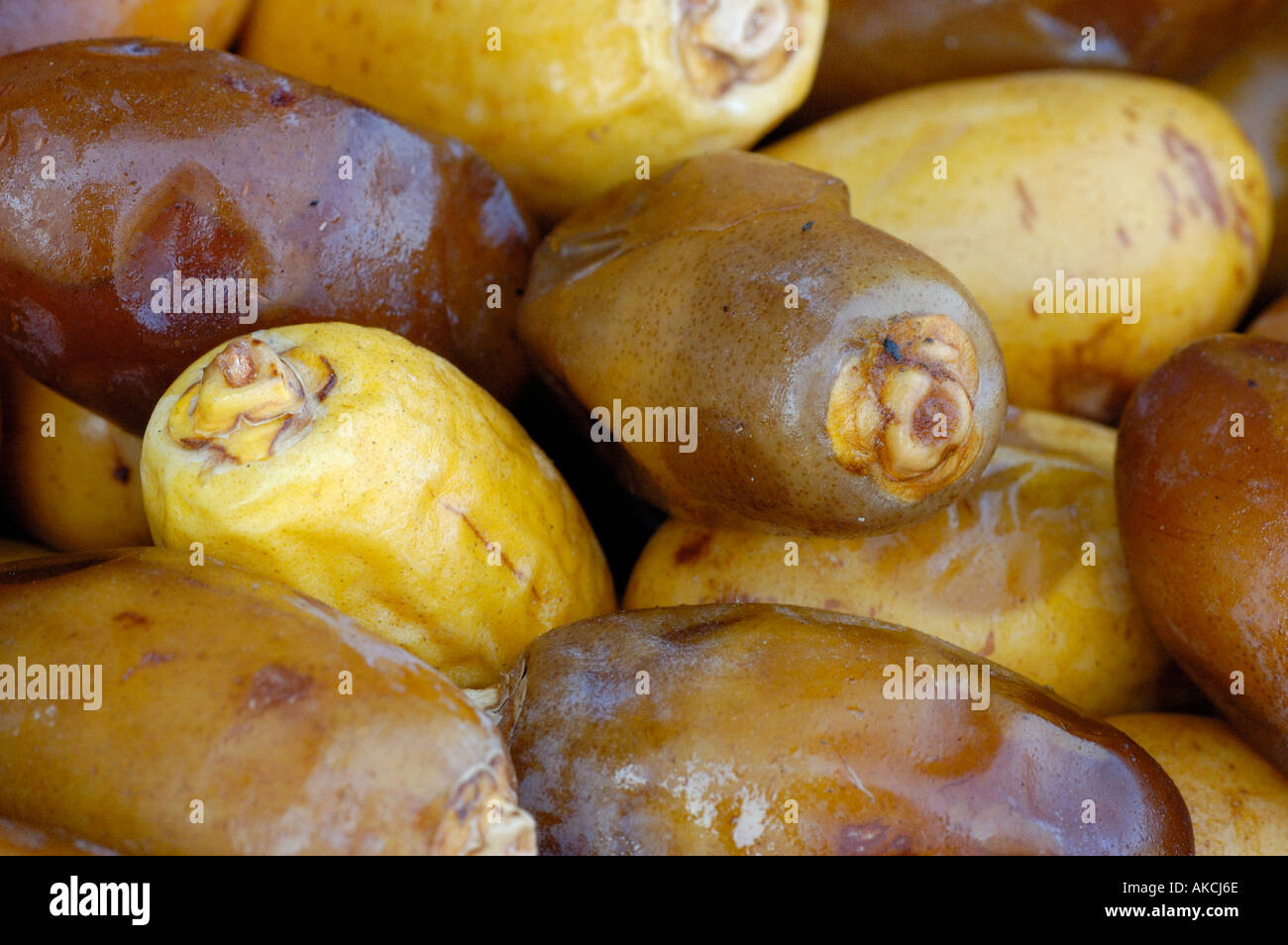 Fresh yellow Omani dates at vegetable market Abu Dhabi UAE Stock Photo