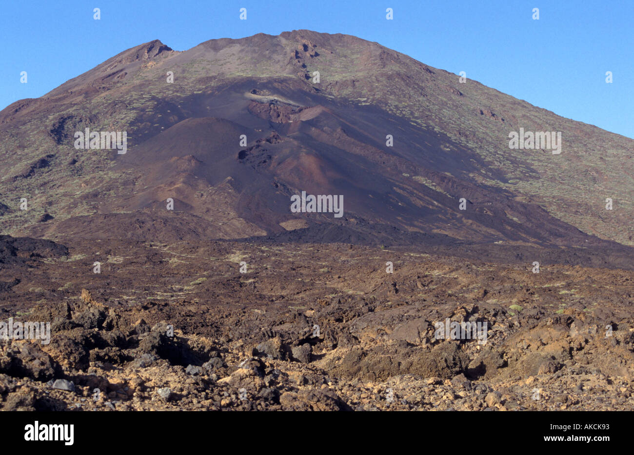 Volcanic landscape in the Teide National Park Tenerife Stock Photo