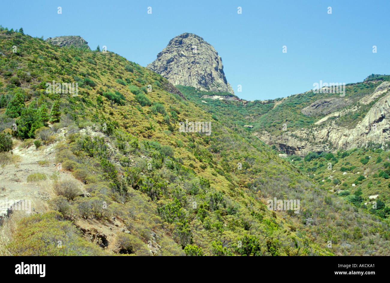 Basaltic monolith on La Gomera Stock Photo