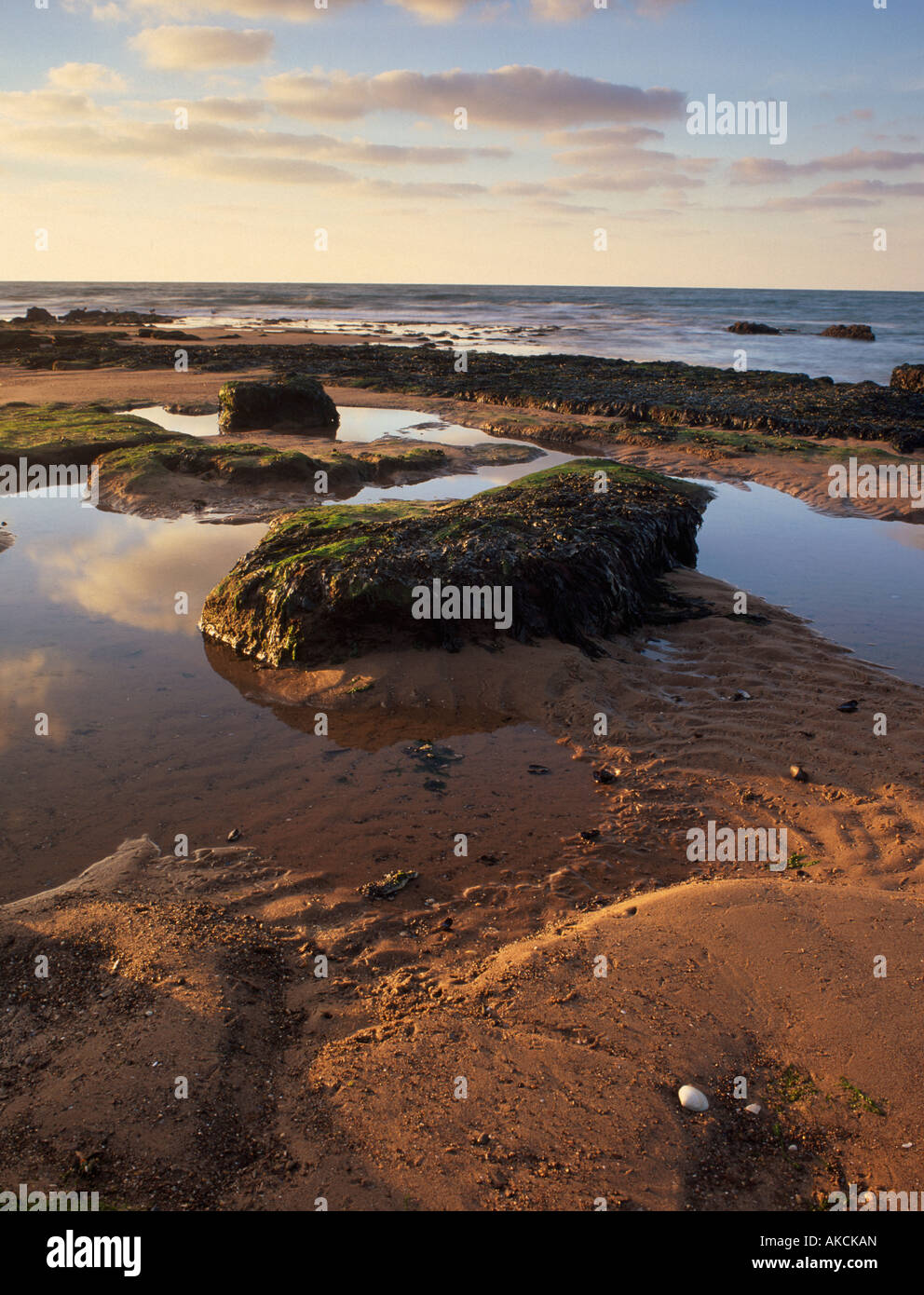Beach near Exmouth, Devon, UK, at sunrise Stock Photo Alamy