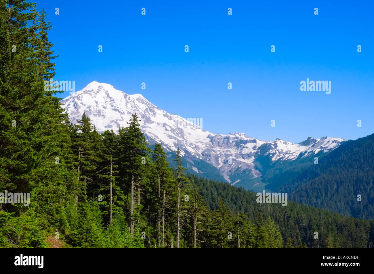 Mowich lake road hi-res stock photography and images - Alamy