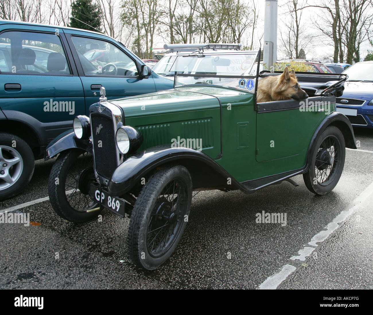 An Austin seven convertible automobile sits parked in a car park with hood down and alsatian as passenger. Stock Photo