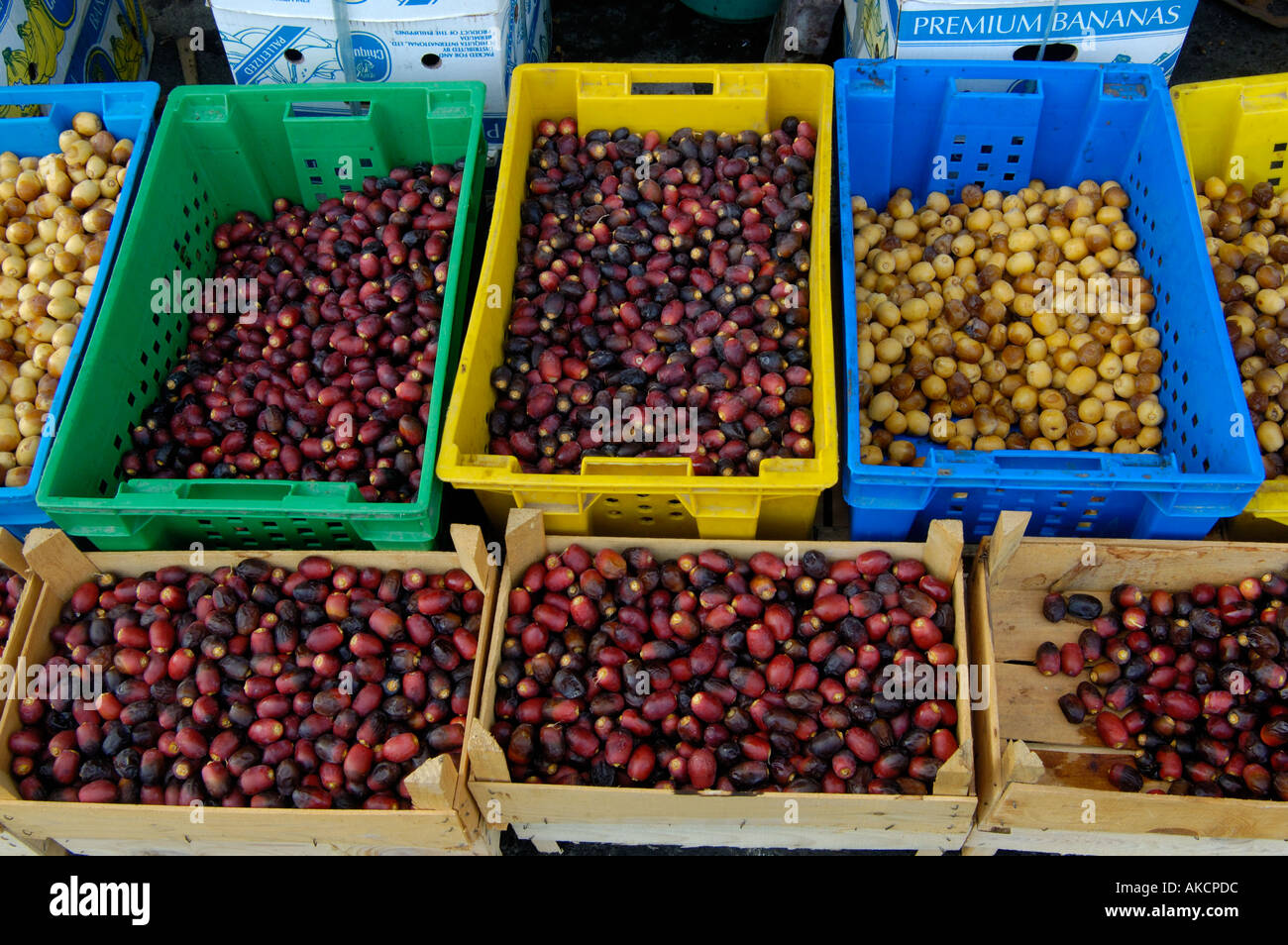 Crates of fresh Omani dates at vegetable market Abu Dhabi UAE Stock