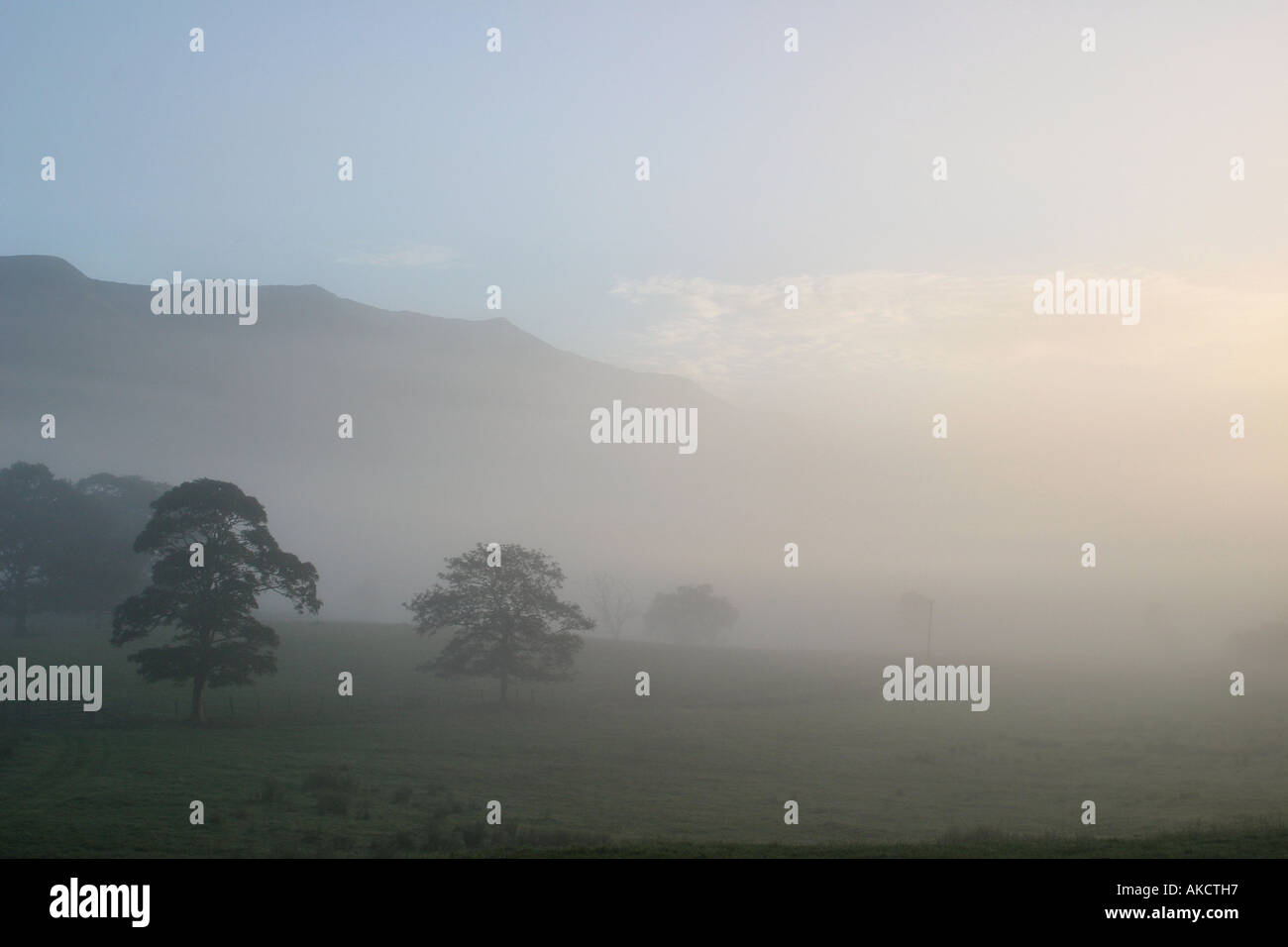 A Stock Photograph of cloud in a valley with tree tops showing above it ...