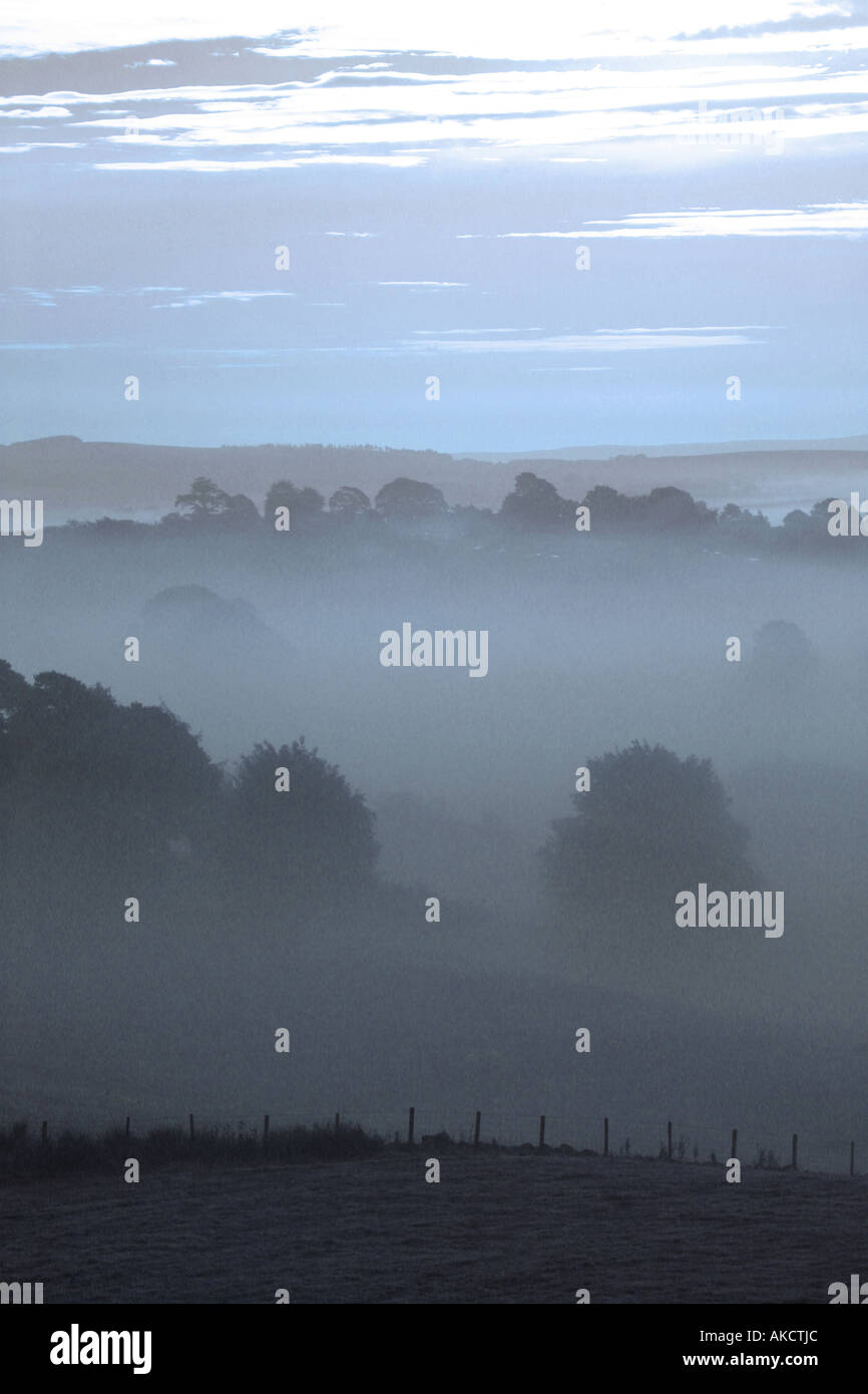 A Stock Photograph of cloud in a valley with tree tops showing above it ...