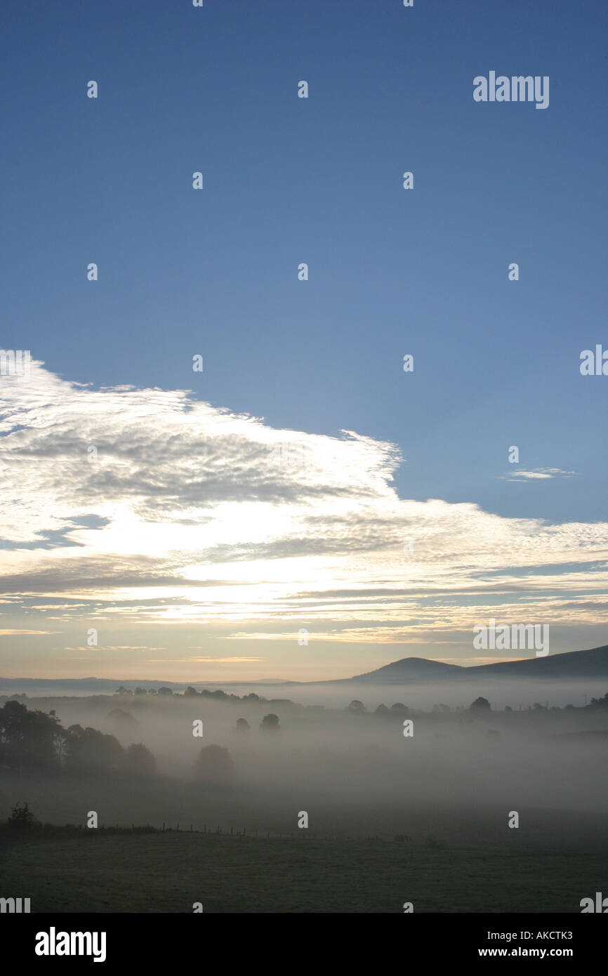 A Stock Photograph of cloud in a valley with tree tops showing above it ...