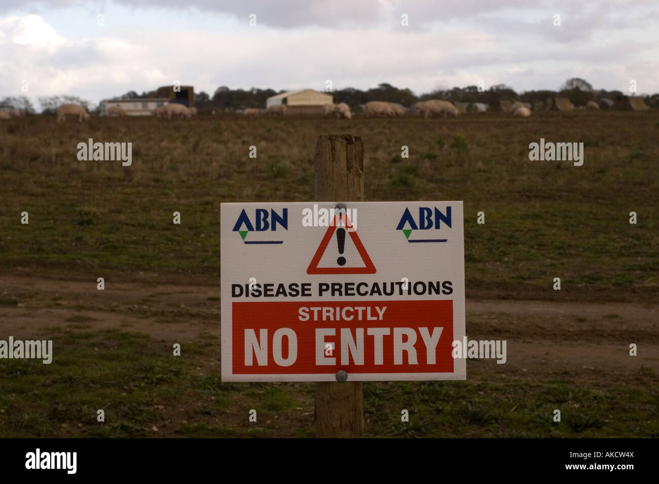 Disease Precautions Sign On Field Of Pigs in uk Stock Photo