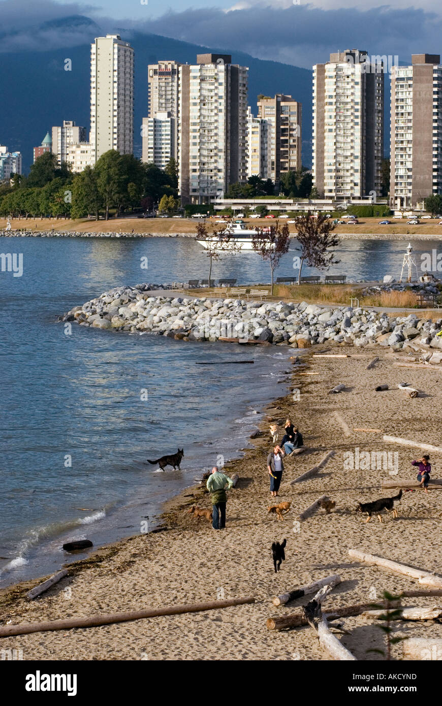 A dog friendly beach at Kitsilano English Bay in Vancouver British