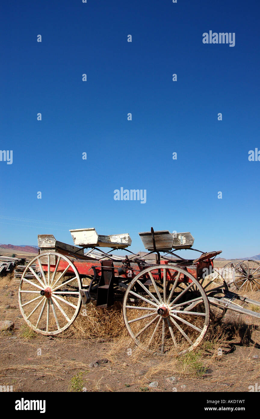 Stagecoach Fake Id