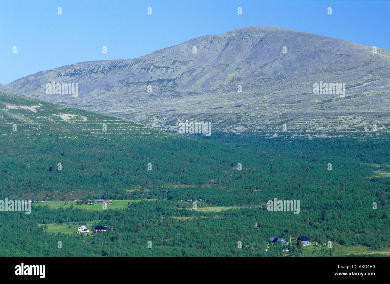 Norwegian mountain landscape . Sylen , Hedmark fylke , Norway Stock ...