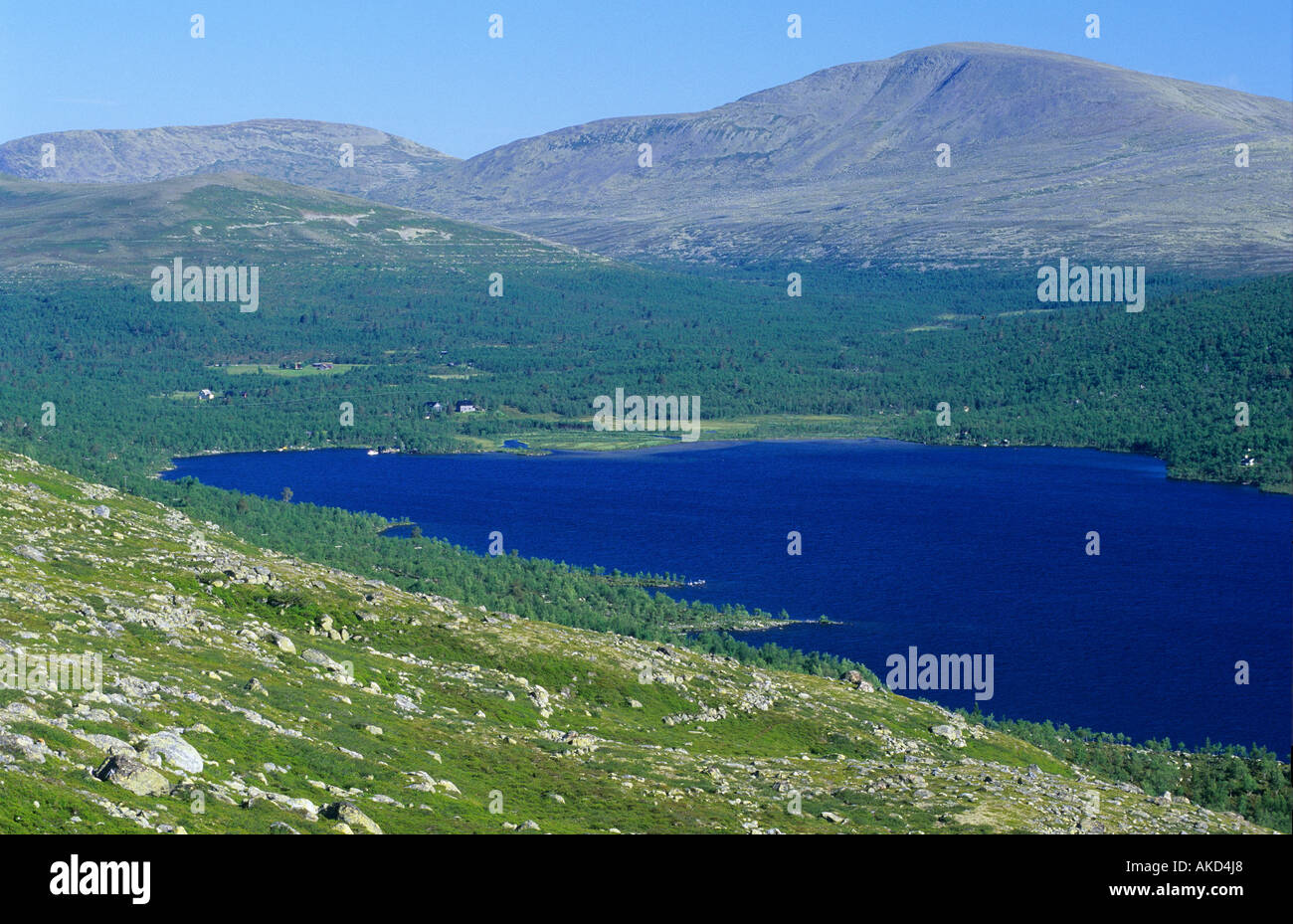 Norwegian mountain landscape . Sylen , Hedmark fylke , Norway Stock ...