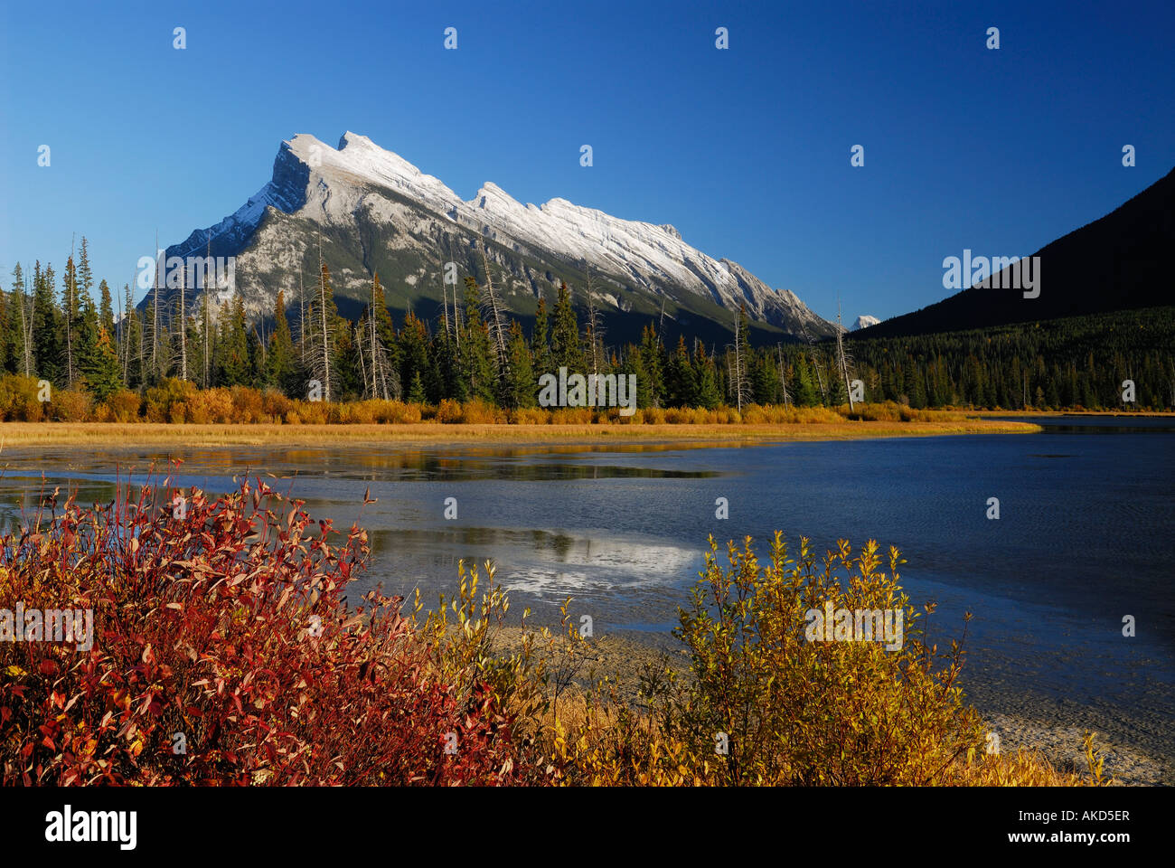 Fall Rundle Mountain Red and orange bushes in Fall on first Vermillion Lake with snow capped ...