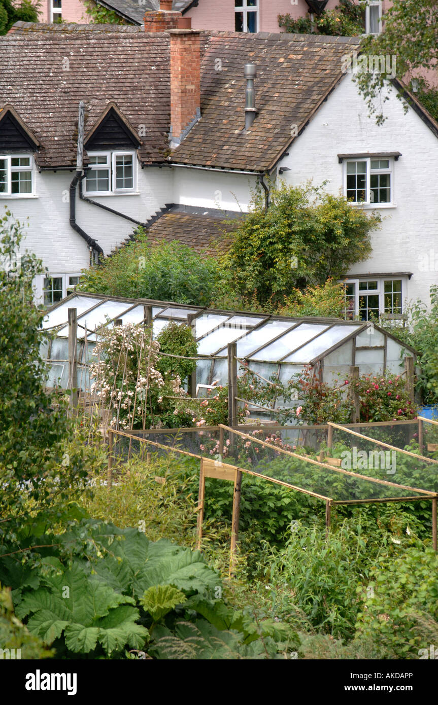 A WHITEWASHED HEREFORDSHIRE COTTAGE WITH A GARDEN GREENHOUSE UK Stock Photo