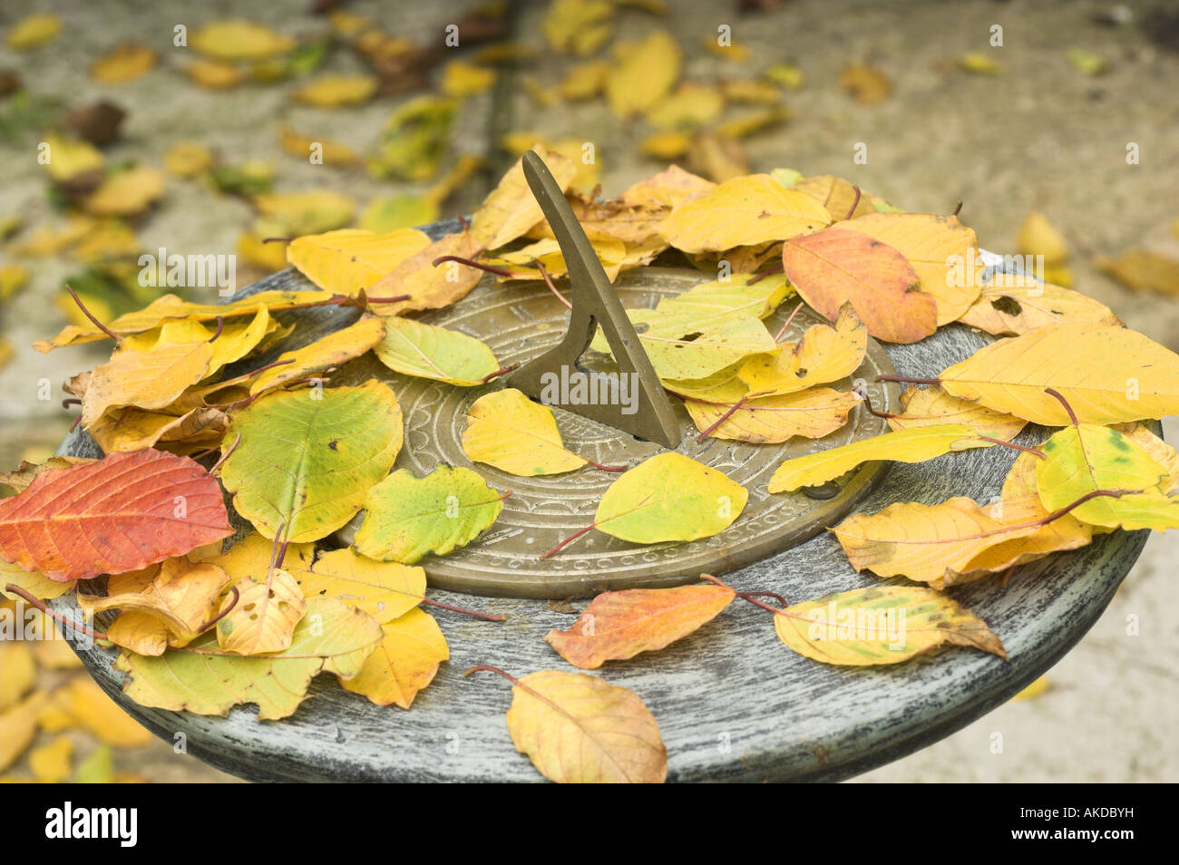 Garden sundial covered with colourful autumn leaves Stock Photo
