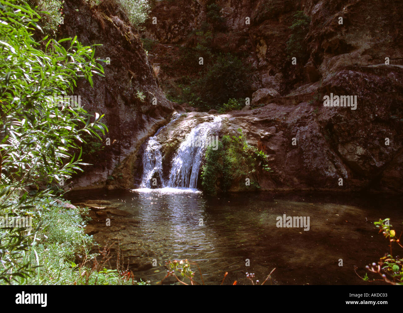 Pool blue mountains nsw hi-res stock photography and images - Alamy