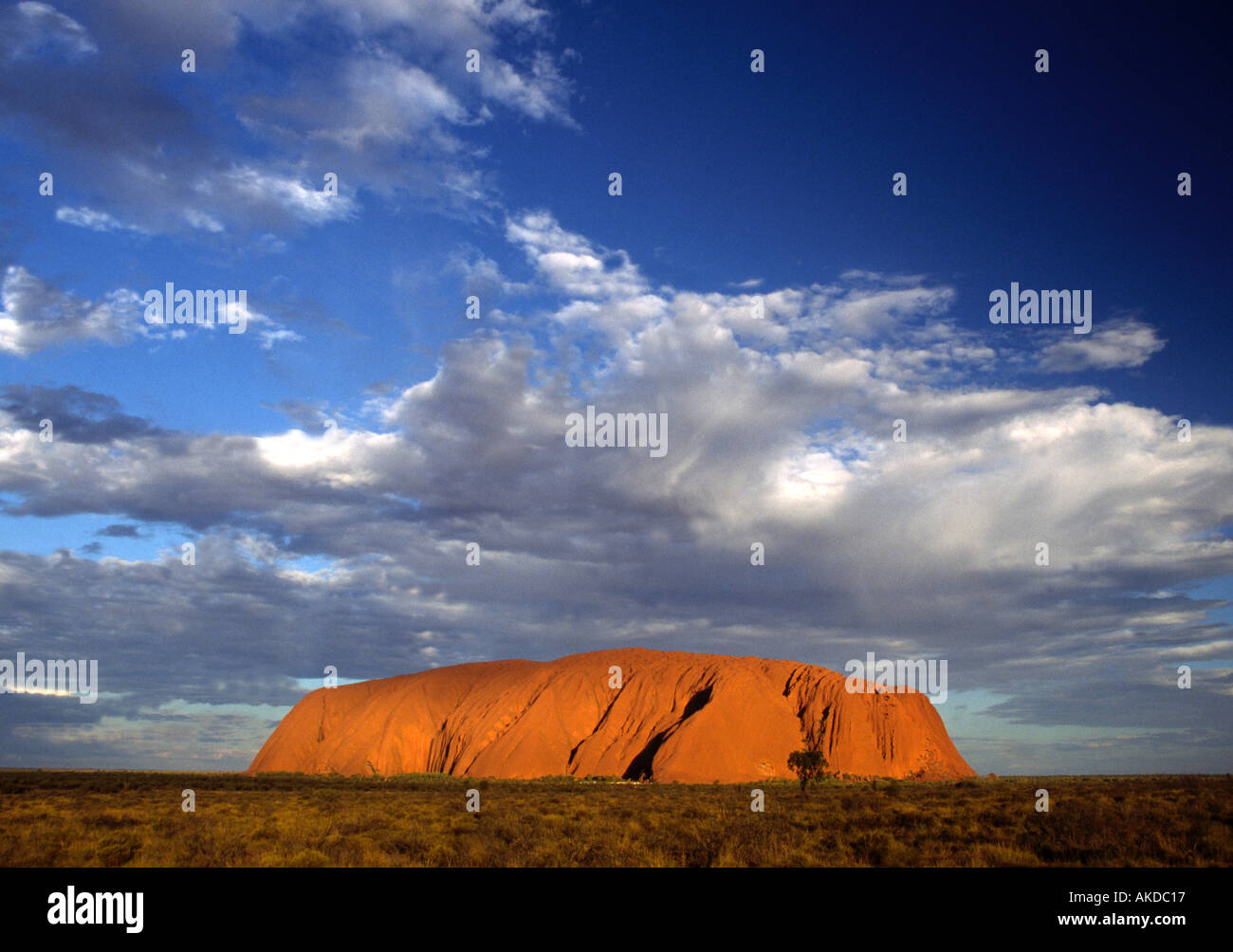 Bright colours of Uluru Ayers Rock in late afternoon sun NT Australia ...