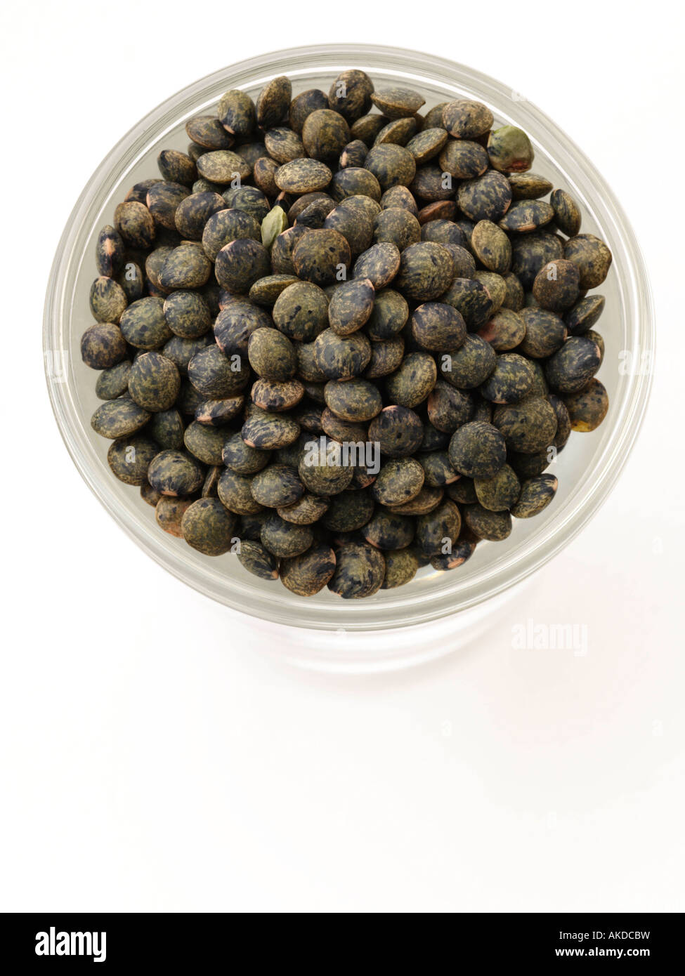 A glass of Le Puy lentils on a white background healthy vegetarian ingredients editorial food Stock Photo