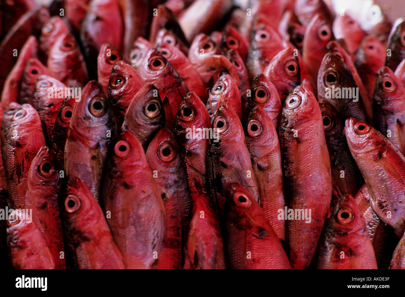 Malta. THE PORT OF MARSAXLOKK. Fish,eyes Stock Photo - Alamy