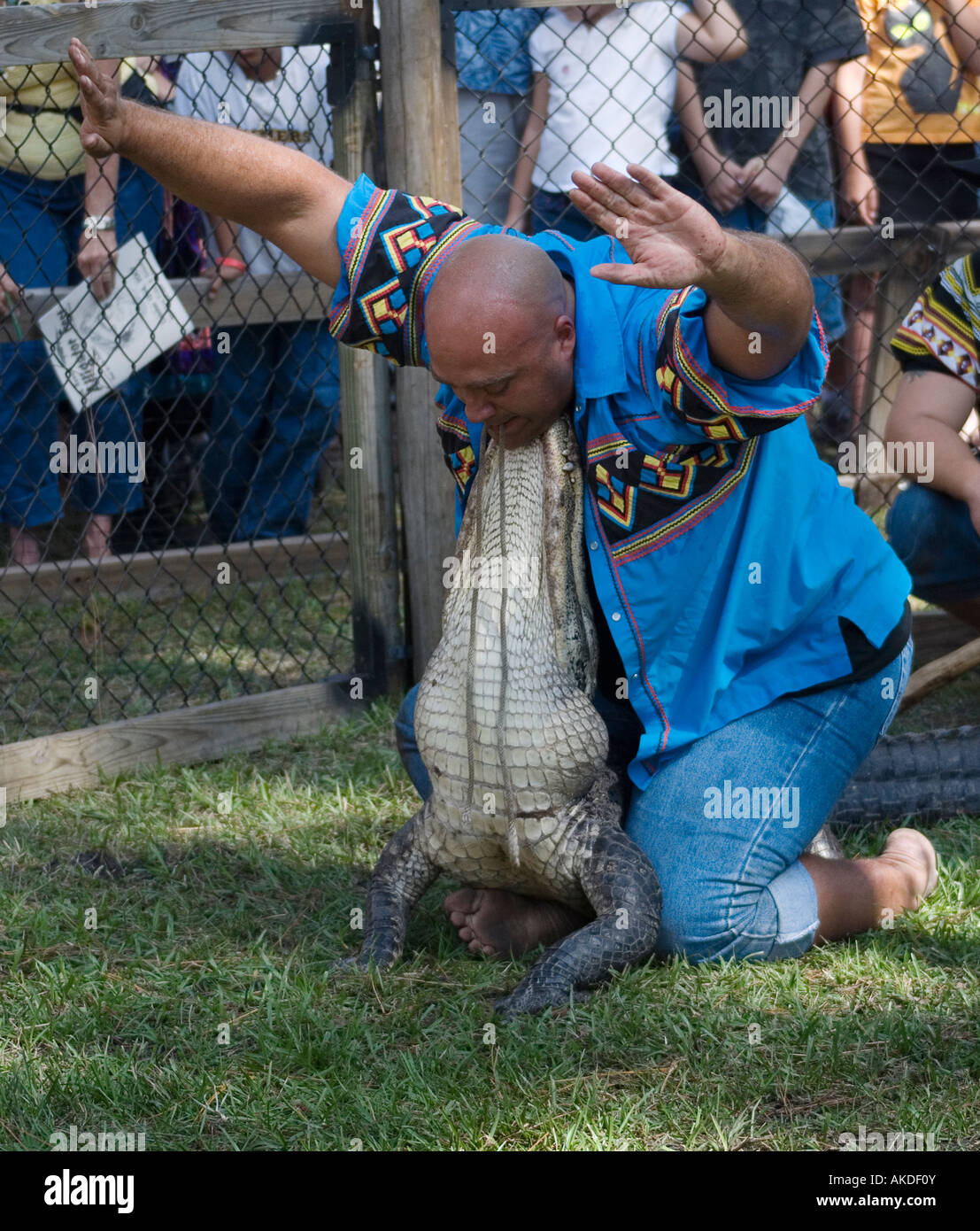 alligator wrestler Ian Tyson during a performance at Alligator Fest