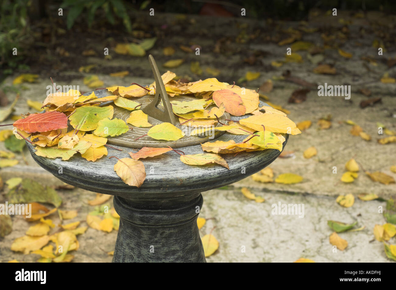Garden sundial on patio covered with colourful autumn leaves Stock Photo